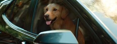 OnStar Pets llega a Colombia: lo que debes saber de este servicio de Chevrolet que extiende la seguridad del auto hasta el bienestar de tu mascota