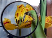 La excelencia del detalle