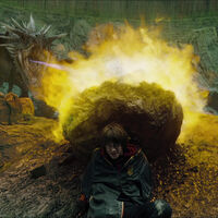 A Harry Potter y el Cáliz de Fuego no le importa exponer a adolescentes a la muerte, pero a los dragones no les toca ni una escama