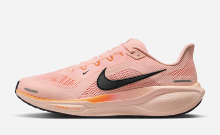 Nike Pegasus 41zapatillas