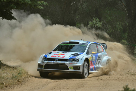 mikkelsen cerdena 14