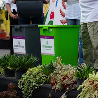 CDMX cambia la forma de separar la basura: cómo separar y dónde tirar cada bolsa 