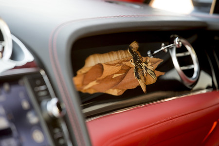 Bentley Bentayga Falconry By Mulliner 5
