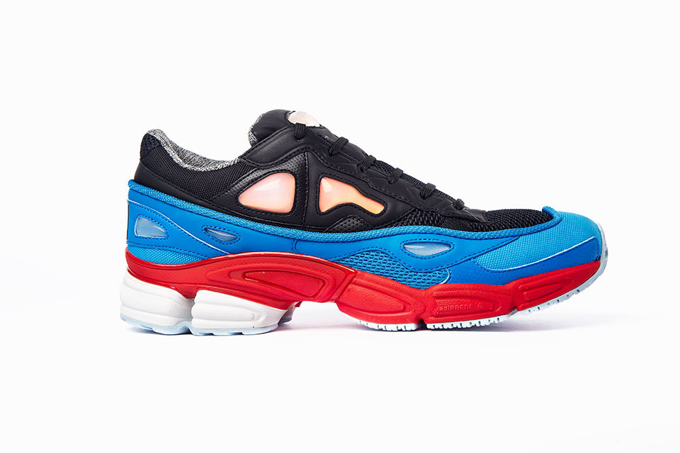 Foto de Raf Simons x adidas Originals (15/19)