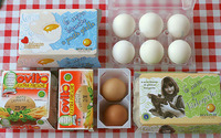 ¿Qué pasaría si nuestros hijos comieran huevos cada día?