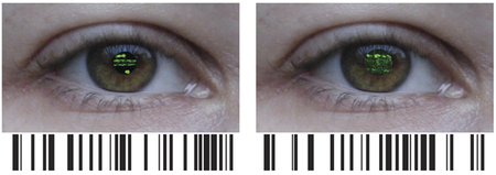 Nuevo avance en la identificación de células de la retina