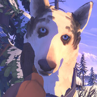Esta preciosa aventura narrativa, con reseñas Muy Positivas, está gratis y para siempre en Steam por tiempo limitado 