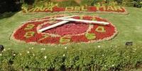 Viña del Mar (Chile): donde la hora la dan las flores