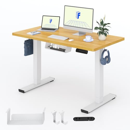 FLEXISPOT 120X60cm Escritorio Elevable Eléctrico con Tablero Entero