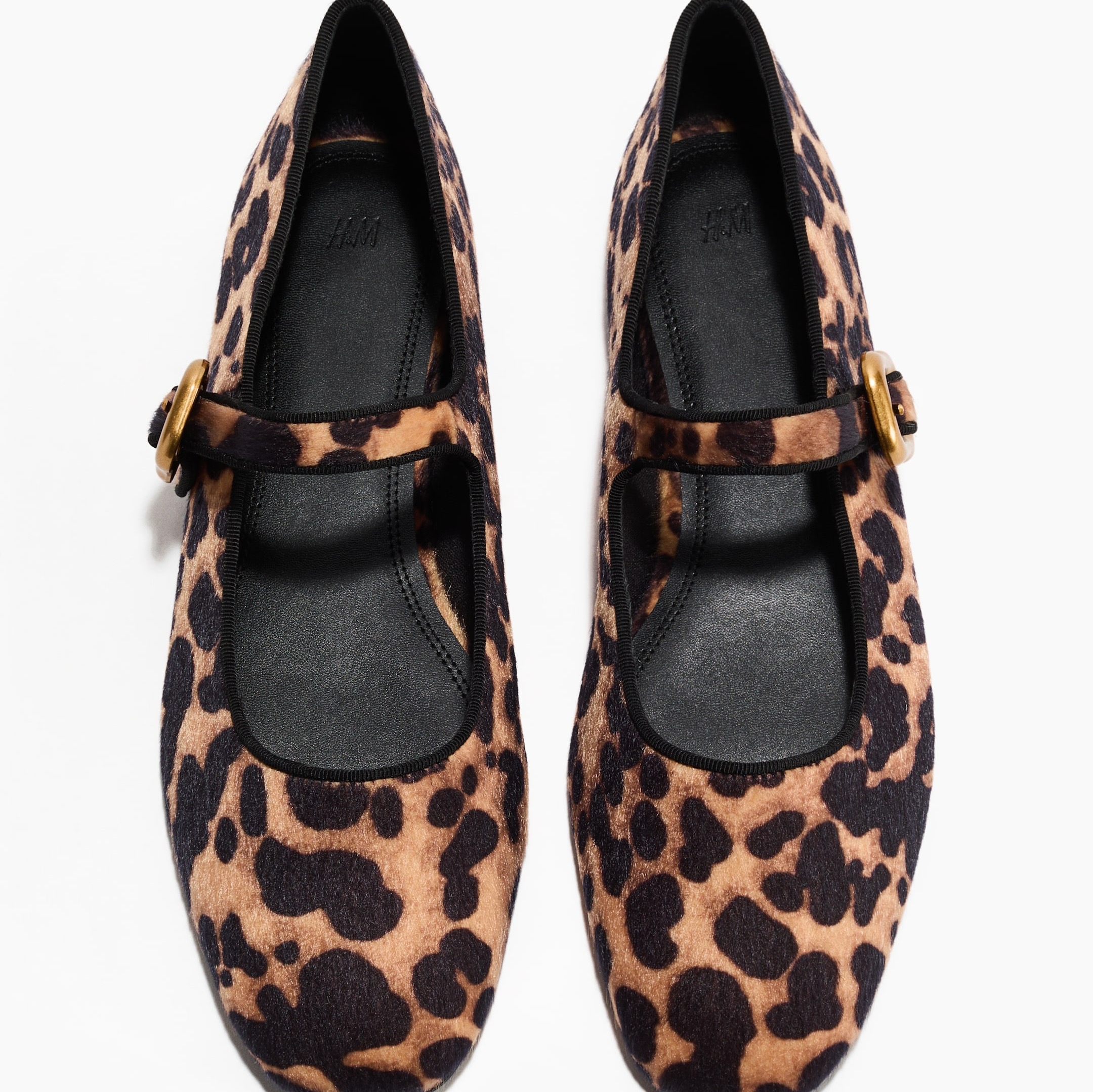 Bailarinas animal print