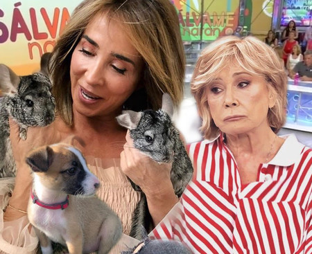 María Patiño y Mila Ximénez, distanciadas por culpa de un perrito y dos chinchillas ¡Guau!