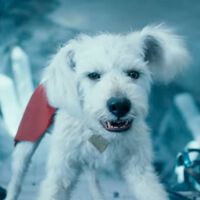 El segundo tráiler de Superman llega con doblaje latino y no decepciona: James Gunn quiere conquistar a México y Latinoamérica