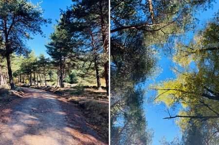 Ruta De Senderismo Cerca De Madrid 1