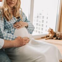 ¿Tengo que deshacerme de mi gato si estoy embarazada?