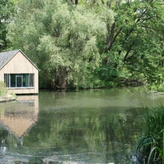 Foto 8 de 16 de la galería muestras-fe-50mm-f1-4-za en Xataka Foto