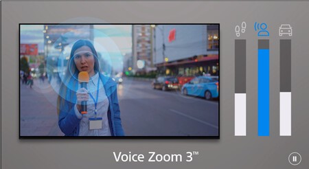 Sony Voice Zoom