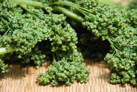 Cómo hacer tortitas de huauzontles con la receta tradicional del Chef Oropeza para Semana Santa