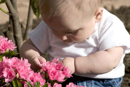 Cómo adaptar el jardín a los niños