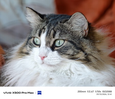 Vivo X500 Pro Max