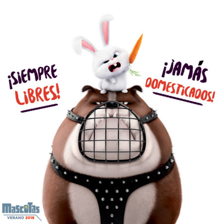 Mascotas 1