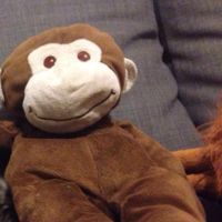 Pau perdió su adorado peluche y lo encontró gracias a las redes sociales