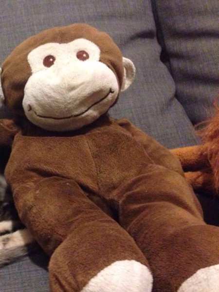 Pau perdió su adorado peluche y lo encontró gracias a las redes sociales