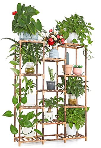 VIEWALL 11 Niveles Soporte Plantas