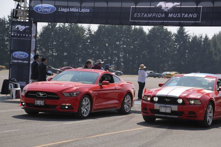 Estampida Mustang 7