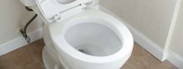 Por qué deberías poner sal gorda en el inodoro todas las noches