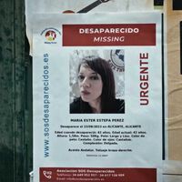 La historia real detrás de 'El Asesino de TikTok' de Netflix. El crimen que tuvo un año a una familia sevillana en vilo