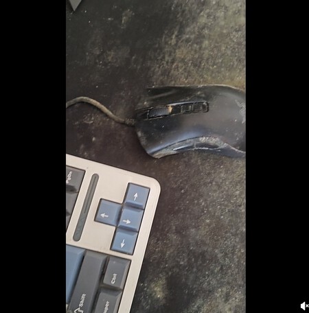 Recurso Adicional Hongos Pc Tlou