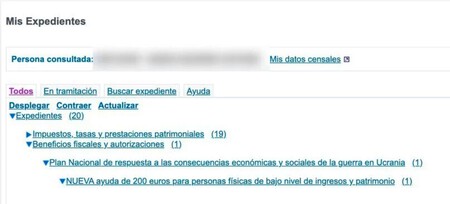 Ayuda 200 Euros 5