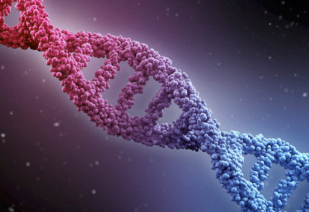 La dieta definitiva la decidirán nuestros genes