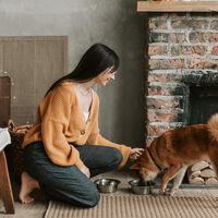 En México, se pagan hasta 3 mil pesos al mes en las mascotas y ya supera al gasto en salud personal 