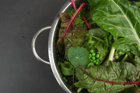 Jumpstory Download20230802 182124