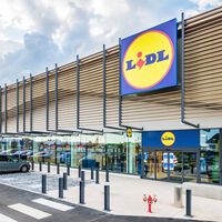 Lidl vende la mosquitera de quita y pon para cualquier ventana: cuesta menos de 4 euros