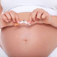 No fumes durante el embarazo: investigadores españoles han comprobado que afecta al crecimiento fetal al alterar la placenta