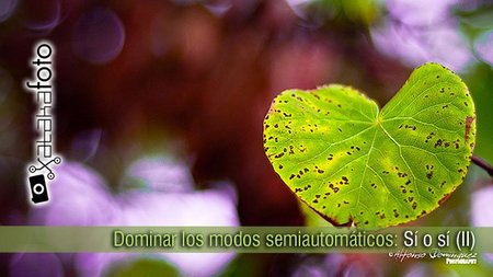 Dominar los modos semiautomáticos: Sí o sí. Prioridad a la apertura (II)