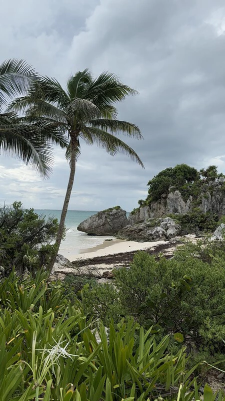 iPhone 16 Pro Max、Fusion Camera、24mm f1.78 で撮影した写真