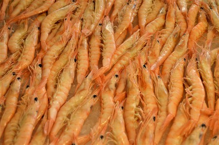 Gamba Blanca El Tapeito