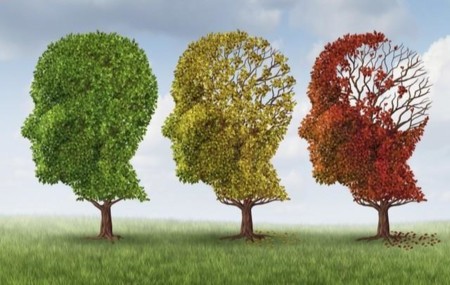 Nuevo estudio relaciona la "dieta occidental" con el Alzheimer