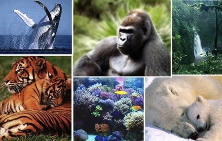 Día Internacional de la Tierra: los niños cuidarán nuestro planeta