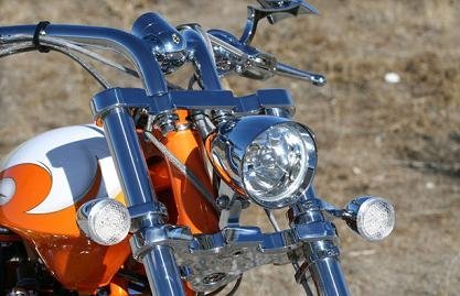 Big Bear Miss Behavin