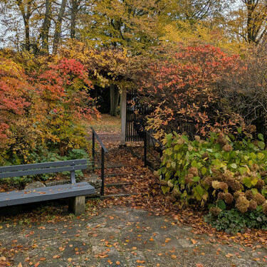Dejar las hojas caídas en tu jardín tiene muchos beneficios: así debes actuar 