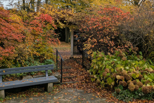 Pexels Jakobandersson 34500028