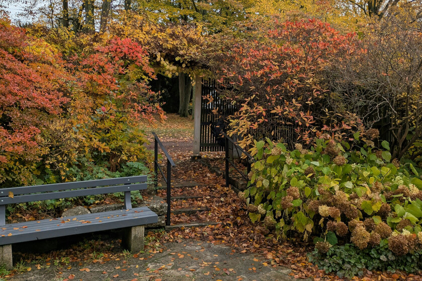 Dejar las hojas caídas en tu jardín tiene muchos beneficios: así debes actuar