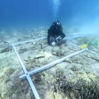 Ni hecha por romanos ni por celtas. La carretera empedrada más antigua de Europa tiene 7.000 años, pero es una joya oculta bajo el mar