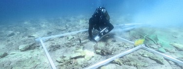 Croacia escondía bajo el mar una carretera de 7.000 años: una obra inédita levantada mucho antes de que los romanos conectaran Europa