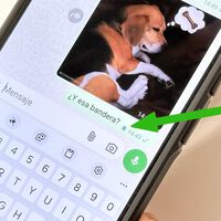 Si usas los mensajes temporales de WhatsApp, el truco del icono de la bandera es un salvavidas