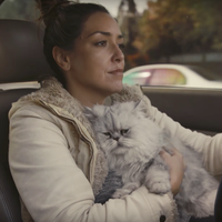 ¡Un millón de pesos por este Honda Accord ´96! Y todo gracias a este genial video 